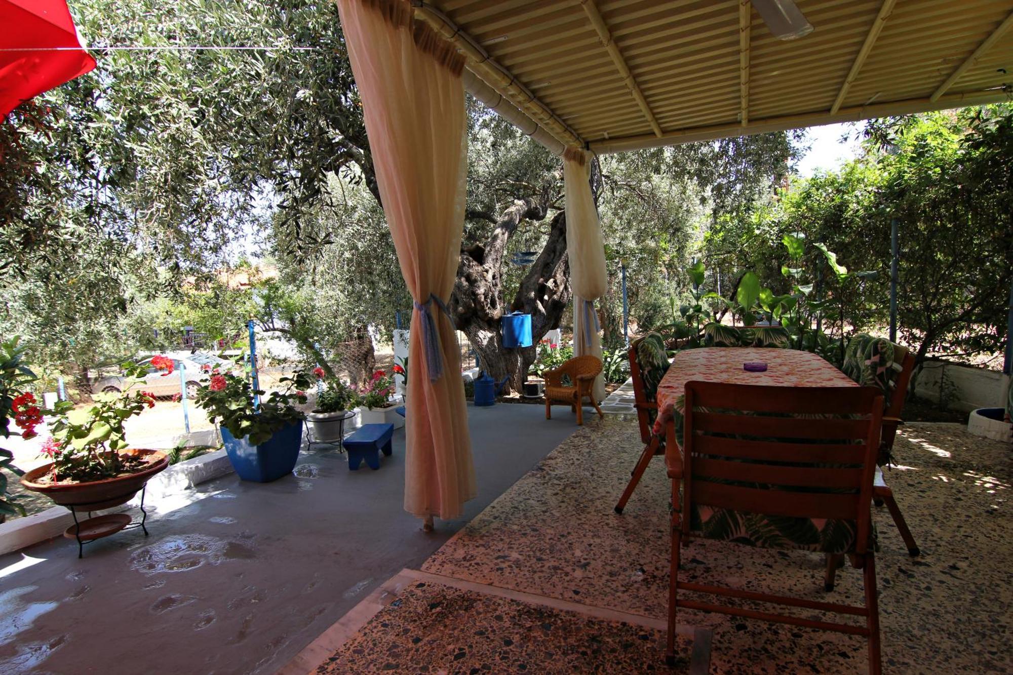 Joanna's House *